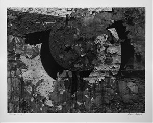 Image description is not available for 2024.081